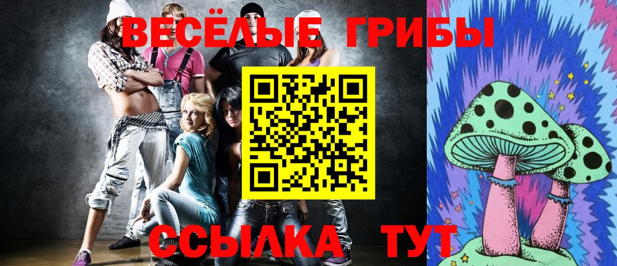Галлюциногенные грибы мухоморы  купить  сайты  Тула  Вход с VPN 